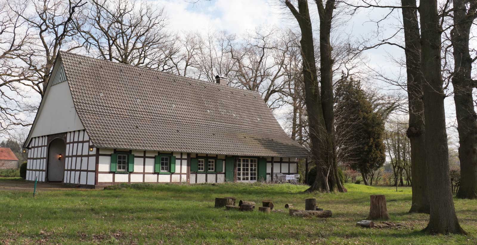 Seitenansicht-Haus-rechts-mit-Feuerstelle-Kopie